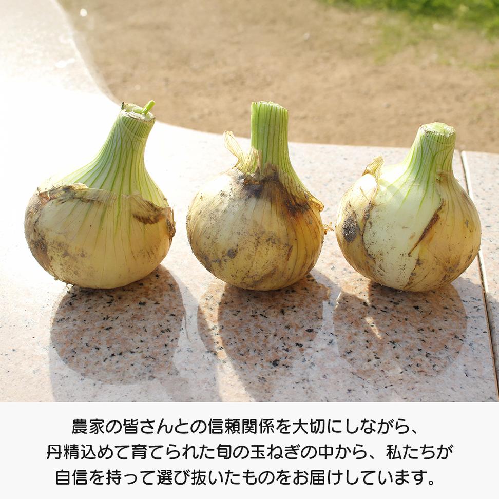 道の駅あわじ厳選新玉ねぎ５kg【発送時期2026年5月頃】