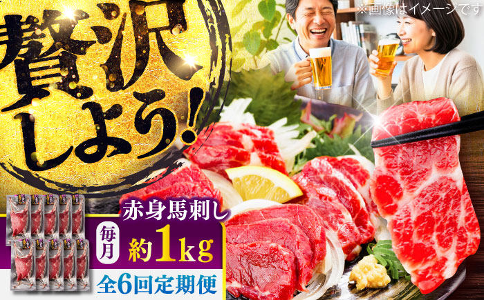 【全6回定期便】赤身 馬刺し 約1kg(約100g×10パック) / 小分け 熊本 馬刺 赤身 馬刺し 冷凍 馬肉 ヘルシー 真空 パック おつまみ 熊本県 菊陽町【五右衛門フーズ】 [BHCY027]