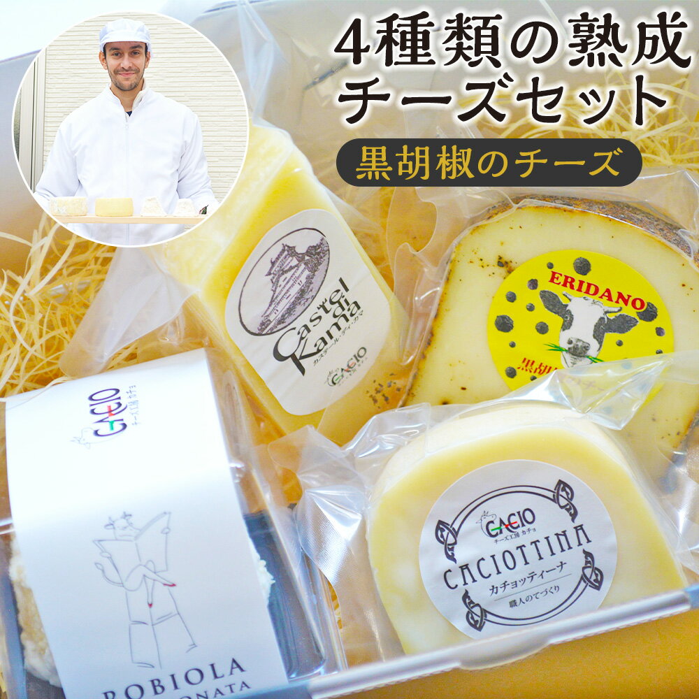 【ふるさと納税】4種類の熟成チーズセット 黒胡椒のチーズ 4種類 各1個 ロビオラ45 カステルディ嘉麻 カチョッティーナ 詰め合わせ 食べ比べ チーズ イタリアン おつまみ 前菜 サラダ 乳製品 送料無料