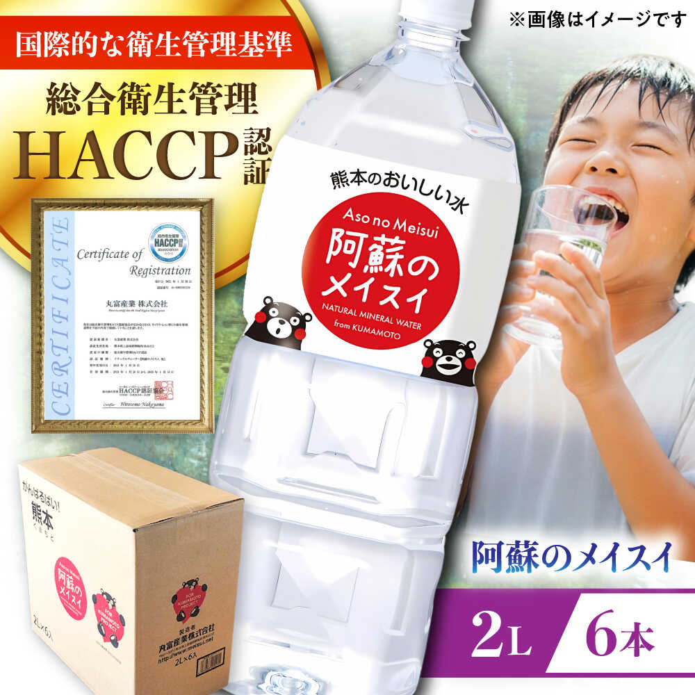 【ふるさと納税】阿蘇のメイスイ 2L 6本×1ケース 天然水 水 ミネラルウォーター 備蓄 熊本 菊陽町 10000 1000円 10,000円 一万円 1万円【丸富産業株式会社】[BHDG005]
