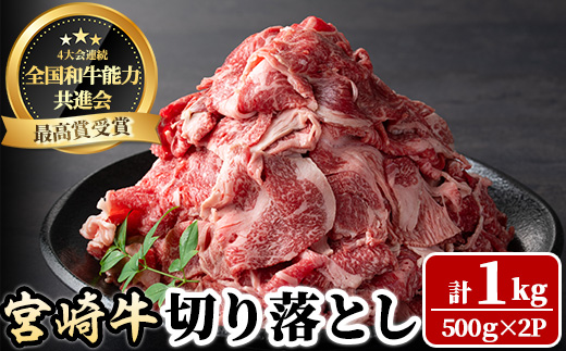 宮崎牛 切り落とし(計1kg・500g×2P)【LJ005】【レグセントジョイラー株式会社】