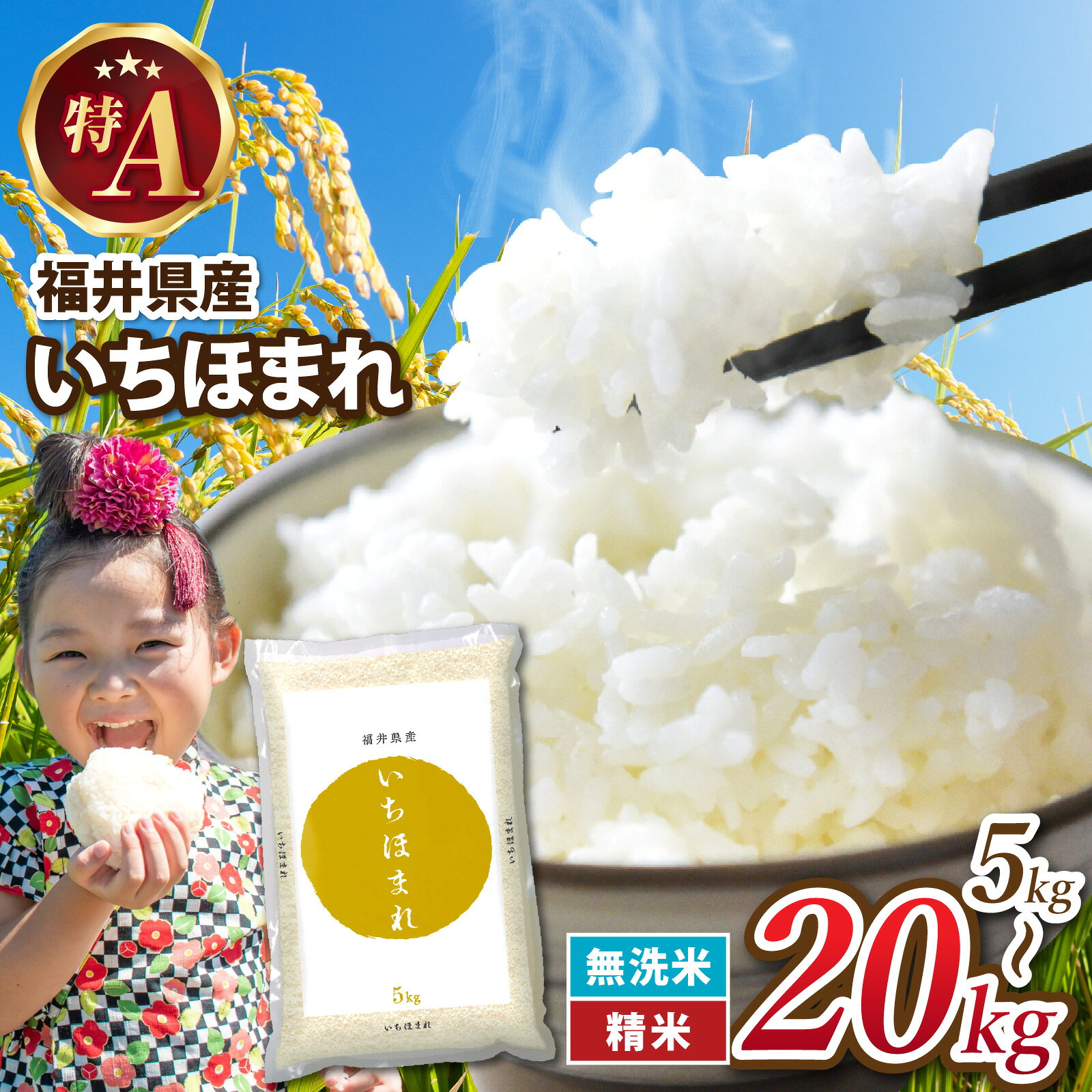 【ふるさと納税】令和7年産 福井が生んだブランド米 福井県産 いちほまれ【選べる容量・配送時期】 / 米 無洗米 こめ お米 コメ ごはん ご飯 飯 無洗米 七年 7年産 5kg 10kg 15kg 20kg 2袋 3袋 4袋 精米 白米 単一米 ブランド 特A