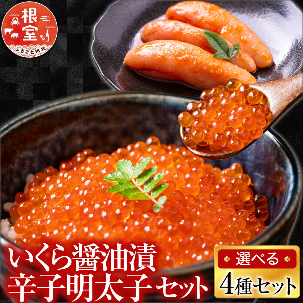 [北海道根室産]＜鮭匠ふじい＞いくら醤油漬250g・辛子明太子300g