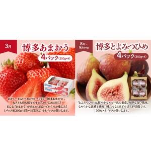 【定期便/年４回】旬の福岡フルーツ定期便【ほたるの里】_PB0087