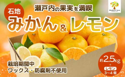 
                  【おくはち農園】石地みかん 2.5kg レモン3～4個《2026年12月発送予定》栽培期間中 防腐剤 ワックス 不使用 旬 柑橘 かんきつ フルーツ 果物 瀬戸内 166023
                