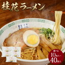 【ふるさと納税】桂花ラーメン 選べる 内容量 計10食入（2食×5袋） 計40食 （2食×20袋） 熊本ラーメン マー油 家庭用 ラーメン 拉麺 半生麺 常温タイプ 九州ラーメン 熊本産 送料無料