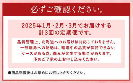 【3回定期便】【先行予約】大粒 あまおう 等級DX 総重量 約3,360g いちご 苺 果物 フルーツ 【2025年1月上旬発送開始】