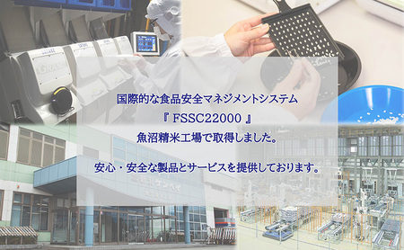 令和7年産 新潟県上越産 米物語 コシヒカリ 5kg こしひかり 米 お米 上越市