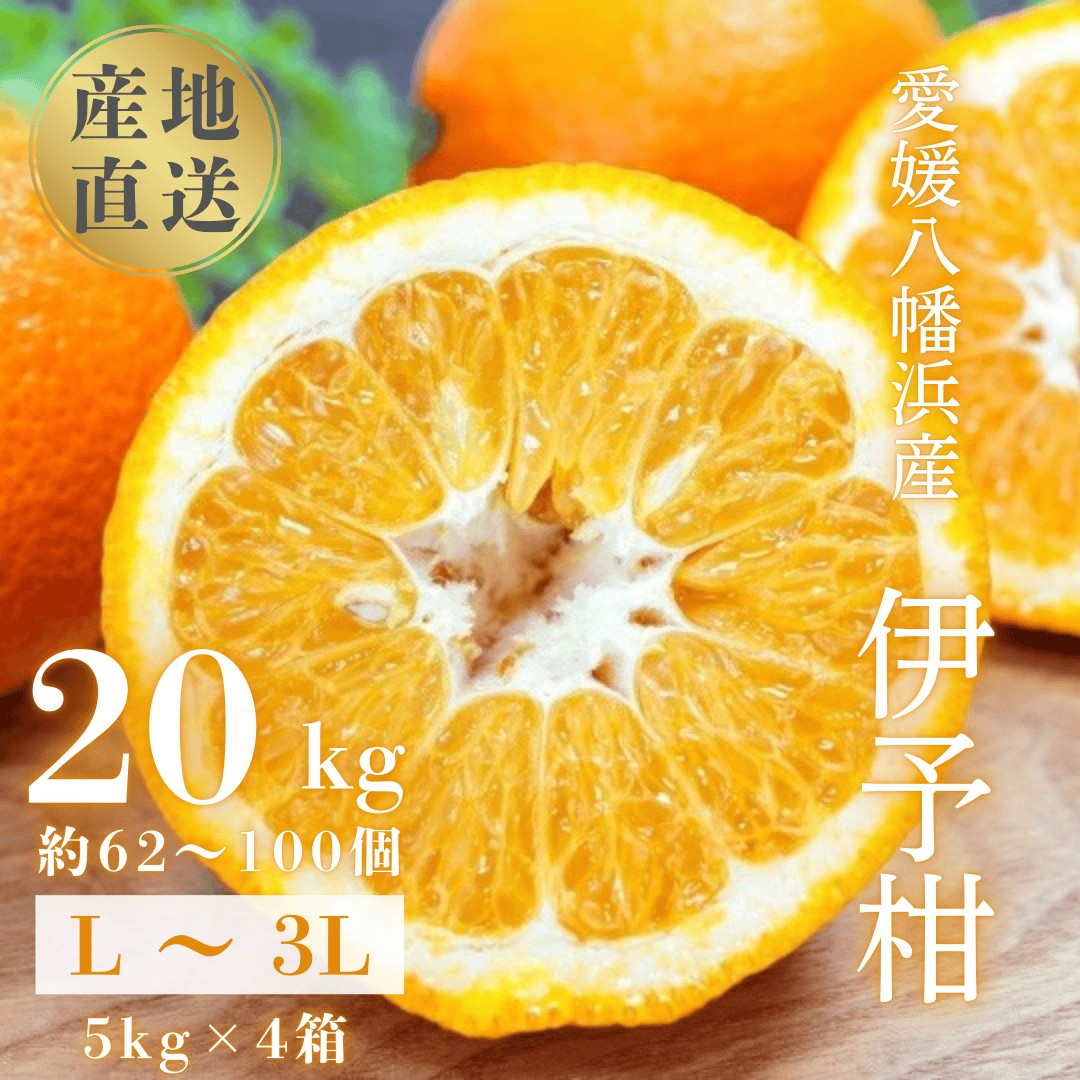 
                  ＜爽やか香りと柔らかジューシーな果肉＞愛媛八幡浜産 宮内伊予柑 20kg＜H20-95＞【1625452】 YWTI090
                