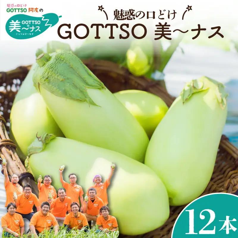 美～ナス 12本 翡翠茄子 なす 茄子 ナス