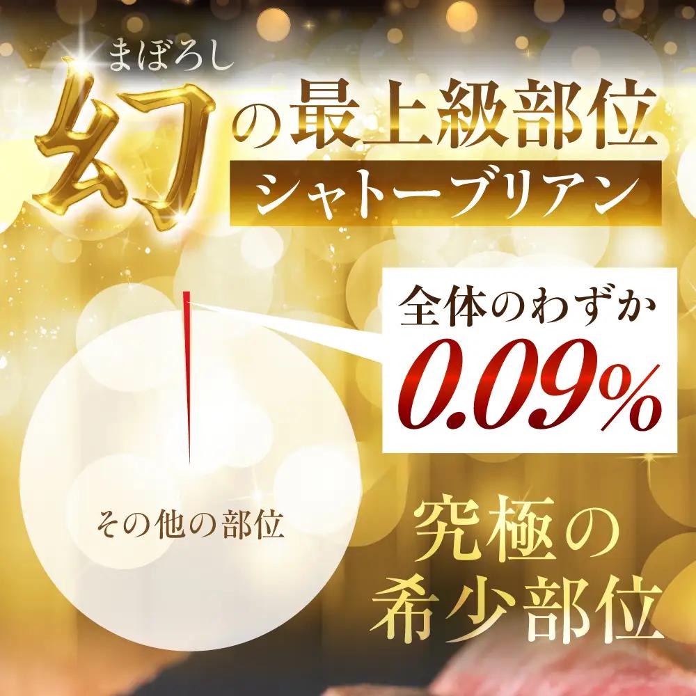 飛騨牛 A5 シャトーブリアン 2枚 280g | シャトーブリアン