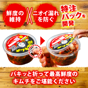 キムチ 【300g × 4】 合計 1.2kg 白菜キムチ