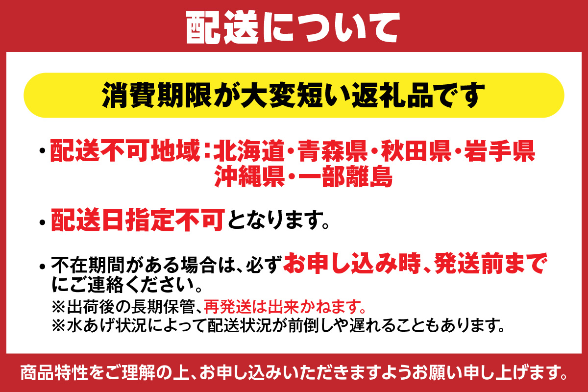 【先行予約】【香住産 釜茹で松葉ガニ 1匹（約600～700g）冷蔵】香住で水揚げされた新鮮な松葉ガニを熟練の職人が茹で上げます。水揚げ当日に茹でたてを発送します。カニの本場 香住 新鮮 国産 鍋 かにすき 脚 足 爪 身 肩 大人気 ふるさと納税 返礼品 おすすめ かに カニ 兵庫県 香美町 香住 柴山 ズワイガニ 宿院商店 68000円 33-24