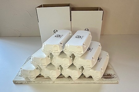 【北海道根室産】美波里のたまご10個入×9P(計90個) D-39001