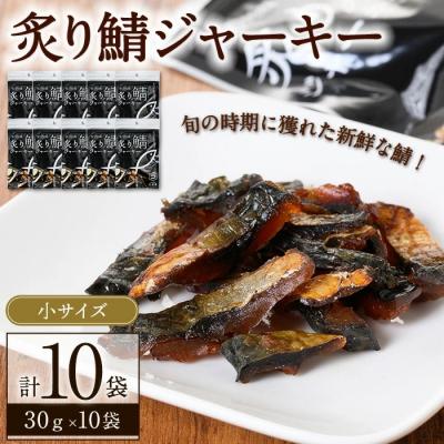 ふるさと納税 境港市 炙り鯖ジャーキー小袋(30g×10P)
