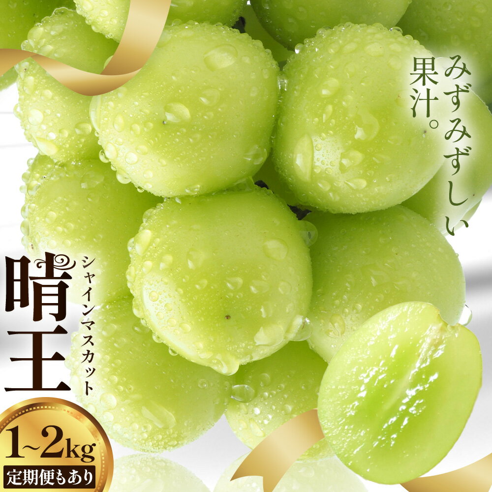 【2026年発送先行予約】【ふるさと納税】シャインマスカット 晴王 2房 ～ 5房 定期便 シャイン マスカット《2026年9月中旬-10月中旬頃出荷予定》 晴レ乃青果(岡山中央卸売市場店(富士紙工有限会社)) 送料無料 岡山県 浅口市 フルーツ 果物 岡山県産【配送不可地域あり】