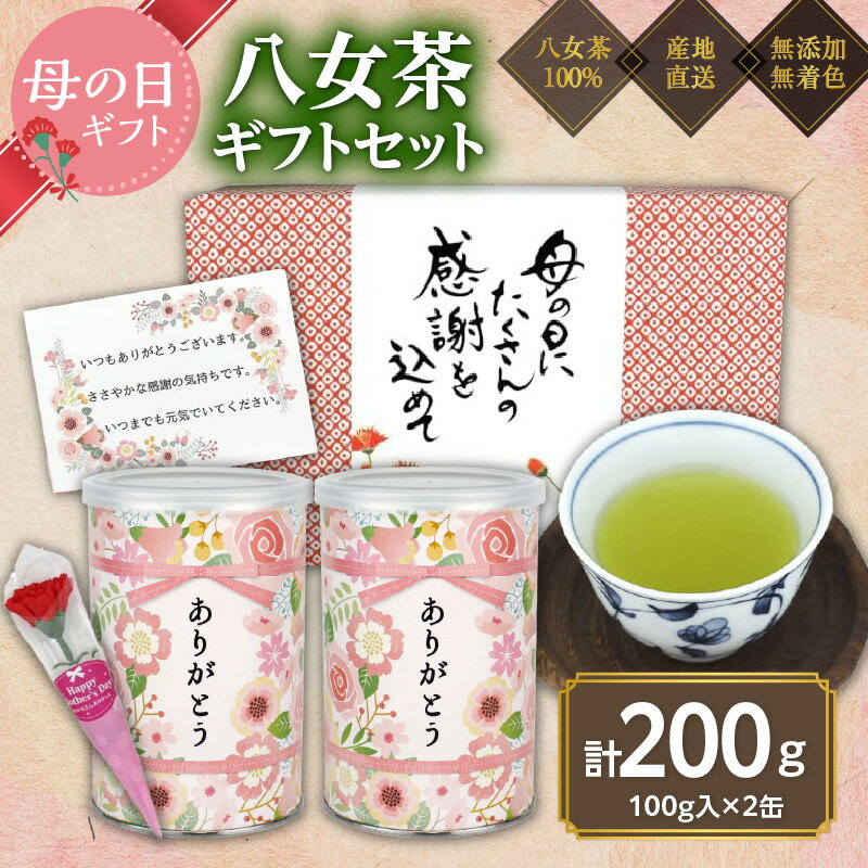 【ふるさと納税】【母の日ギフト】 八女茶100％ 特上煎茶 入り「ありがとう」缶 100g ×2 感謝のメッセージカード ミニカーネーション 付き＜岩崎園製茶＞ 母の日 贈り物 プレゼント 茶缶 一番茶 特上 高級 ギフト お茶 緑茶 福岡県 八女市