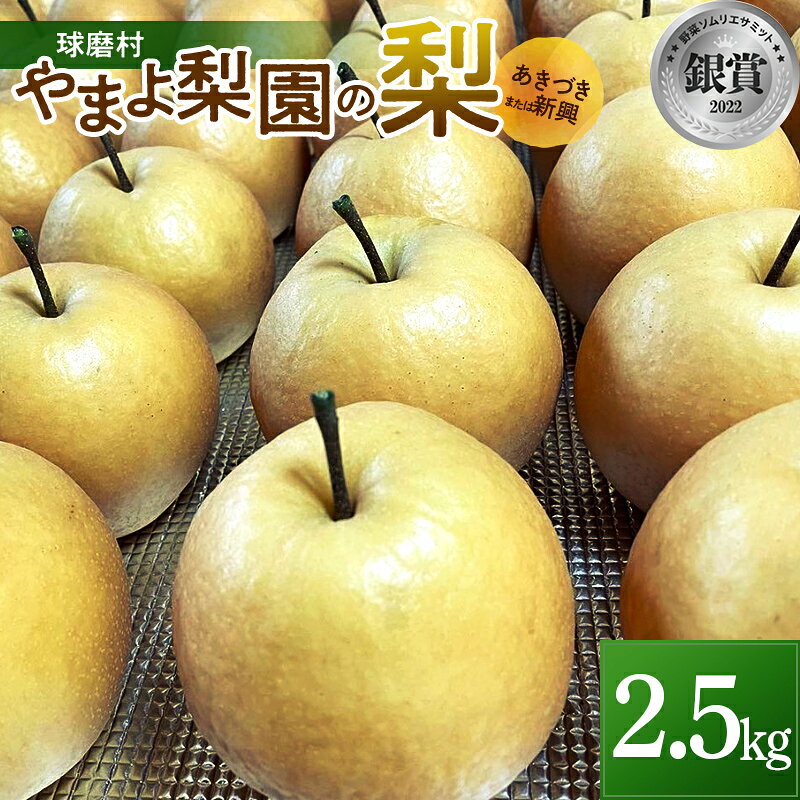 【ふるさと納税】【先行予約】やまよ梨園の梨2.5kg (あきづき・新興 いずれか) 熊本県 球磨村 なし ナシ 和梨 和なし 和ナシ ブランド梨 フルーツ 梨 期間限定 果物 くだもの 旬の果物 デザート 数量限定 FKP9-715