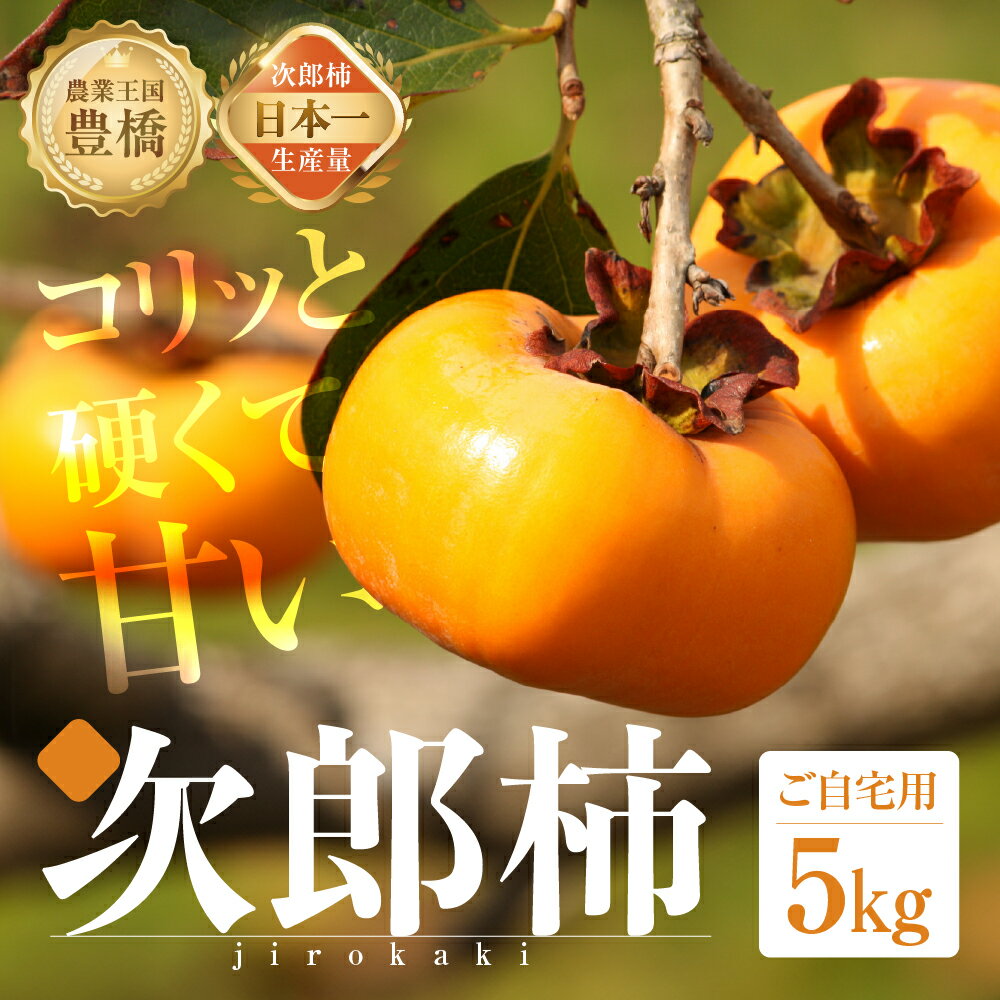 【ふるさと納税】≪先行予約≫ 生産量日本一 豊橋石巻産 次郎柿 ご自宅用 5kg 柿 訳あり 不揃い (15〜25個) 甘柿 果物 フルーツ ワケアリ 訳アリ 旬 10月 11月 10000円 1万円 カキ 愛知県 豊橋市