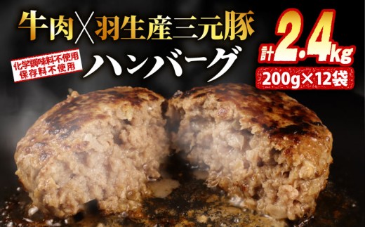 大判ハンバーグ ハンバーグ 牛肉 豚肉 あいびき 2.4kg 小分け 個包装 大判ハンバーグ 惣菜 冷凍 合挽きハンバーグ 保存料不使用 無添加 国産 はんばーぐ hannba-gu ハンバーグ ランキング 人気ハンバーグ 肉 弁当 冷凍食品 簡単調理 国産ハンバーグ ふるさと納税ハンバーグ ハンバーグ食べ比べ にく 冷凍 はんばーぐ 冷凍はんばーぐ おかず 簡単 惣菜 お惣菜 hannba-gu