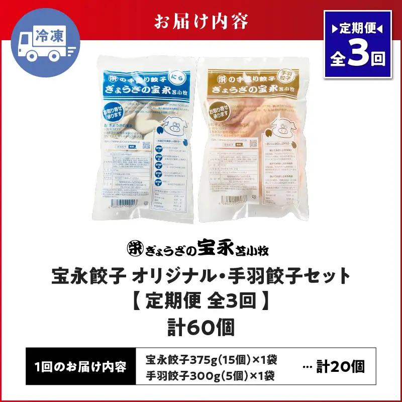 【定期便・全3回 毎月】手包み餃子 ぎょうざの宝永 手羽餃子20個セット（宝永餃子15個入×1袋・手羽餃子5個入×1袋） T004-T06-01-02 定期便 定期 惣菜 総菜 餃子