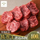 【ふるさと納税】【レビューキャンペーン実施中】＜牧場直送＞佐賀牛煮込み肉400g / 個包装 小分け 赤ワイン煮込み ビーフシチュー贈答 記念日 / 佐賀県 / 有限会社佐賀セントラル牧場[41ASAA079]