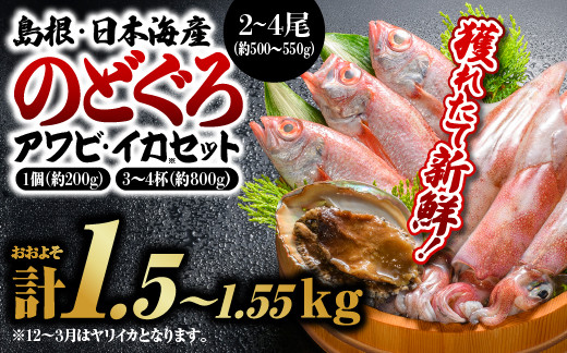 
            鮮魚セットA【のどぐろ2～4尾(約500g～550g)・イカ3～4杯(約800g)・アワビ(約200g×1)】｜ 漁解禁 受付再開 送料無料 のどぐろ アワビ イカ 島根 山陰 日本海産 魚介類 魚貝類 貝 海産物 魚 さかな あわび ノドグロ 鮮魚 剣先イカ ヤリイカ 煮付け 焼き魚｜【YM-1】
          