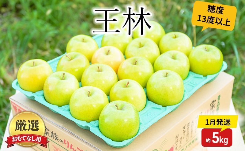 
                  りんご 【1月発送】 糖度13度以上 おもてなし用 家庭用 王林 約 5kg 【 青森りんご  果物 フルーツ デザート 食後 青森県産 産地直送 贈り物  】
                