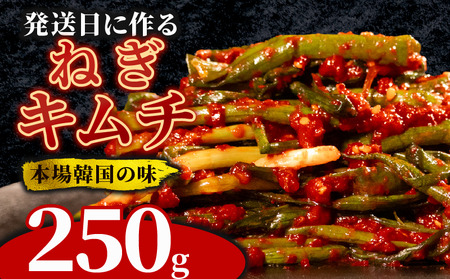 【本場韓国の味】 ねぎキムチ 250g 冷蔵 手作り かわち屋のねぎキムチ