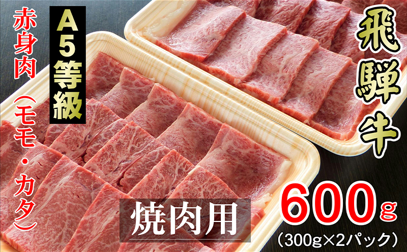 牛肉 飛騨牛 焼き肉 セット 赤身 モモ 又は カタ 600g 黒毛和牛 A5 美味しい お肉 牛 肉 和牛 焼肉 BBQ バーベキュー 【岐阜県輪之内町】