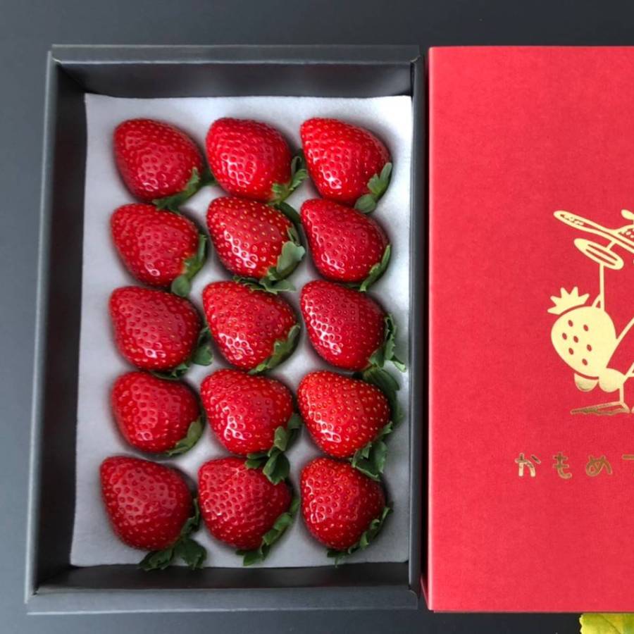 ＜かもめファーム＞「晴苺」400g（9～15玉）