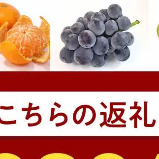 BF6066_【2027年先行受付】しらぬい（デコポン）化粧箱　12玉入り ※着日指定不可