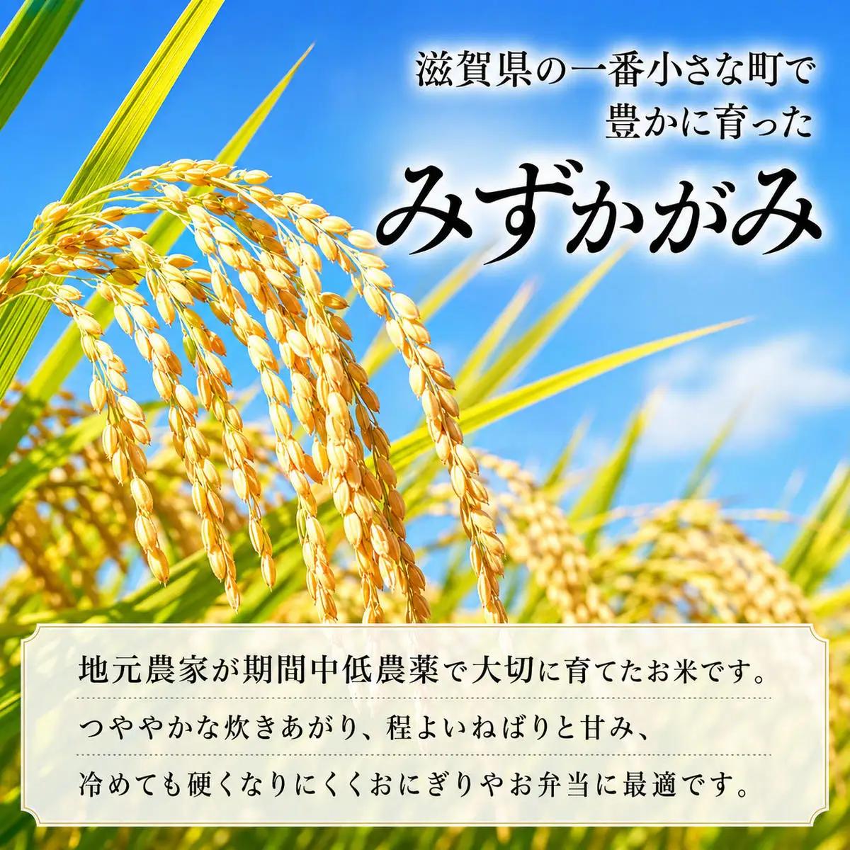 【令和8年産】新米 先行予約 特A受賞歴 みずかがみ 米 定期便 近江米 5kg 白米 5kg×5ヶ月 お米 ごはん ライス 主食 おにぎり 定期 5回 滋賀県 豊郷町