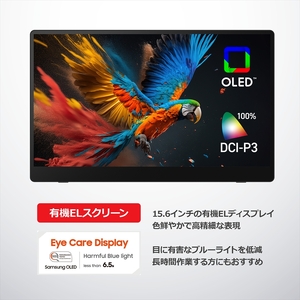 バッテリー内蔵15.6インチ有機ELポータブルタッチディスプレイモニター。ワイヤレス＆USB接続タイプ。RICOH Light Monitor 150BW【 モニター 神奈川県 海老名市 】