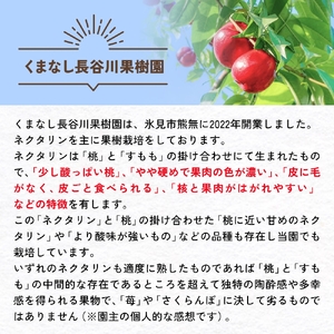 【先行予約】【訳あり】富山県産 ネクタリン 6個 （約1.5kg） ＜2026年8月中旬以降順次発送＞