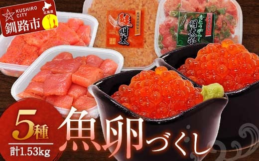 魚卵づくし③ 秋鮭いくら醬油漬500g・ たらこ 300g切子・ 明太子 300g切子・青とうがらし明太250g・鮭明太180g イクラ 秋鮭いくら 秋鮭イクラタラコ 鮭 明太 食べ比べ セット 小分け  F4F-5658