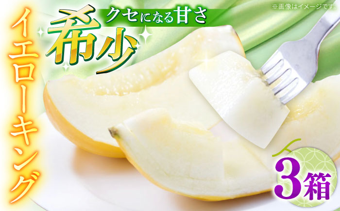 【2027年5月〜発送】メロン イエローキング 3箱（1箱 3〜6玉） / メロン めろん フルーツ 果物 / 南島原市 / 南島原果物屋 [SCV041]