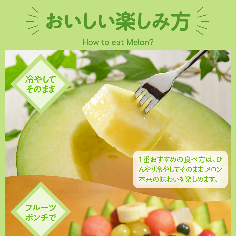 【2026年8月下旬発送】メロン 青肉 約5kg (3～6玉) 家庭用 津軽産