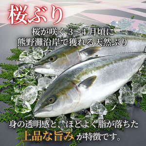 ぶり 切り落とし 約440g (220g×2パック) 