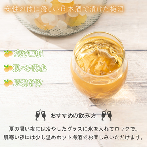 梅の酒 リキュール 500ml × 2本 ( 酒 お酒 日本酒 梅酒 フルーティー 梅酒 甘酸っぱい 梅酒 女性 おすすめ 梅酒 日本酒で漬けた 梅酒 下関酒造 梅酒 下関 山口 梅酒 お酒 酒 梅酒