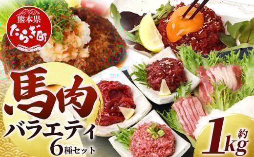 【年末発送】【馬刺し】 熊本 馬肉 バラエティー 6種 セット 約1.02kg ＜ 赤身 切り落とし コウネ ネギトロ ユッケ フタエゴ ハンバーグ タレ付き ＞ 熊本 国産 赤身 馬刺し 馬肉 ハンバーグ 小分け 年内発送 年内配送 年末年始