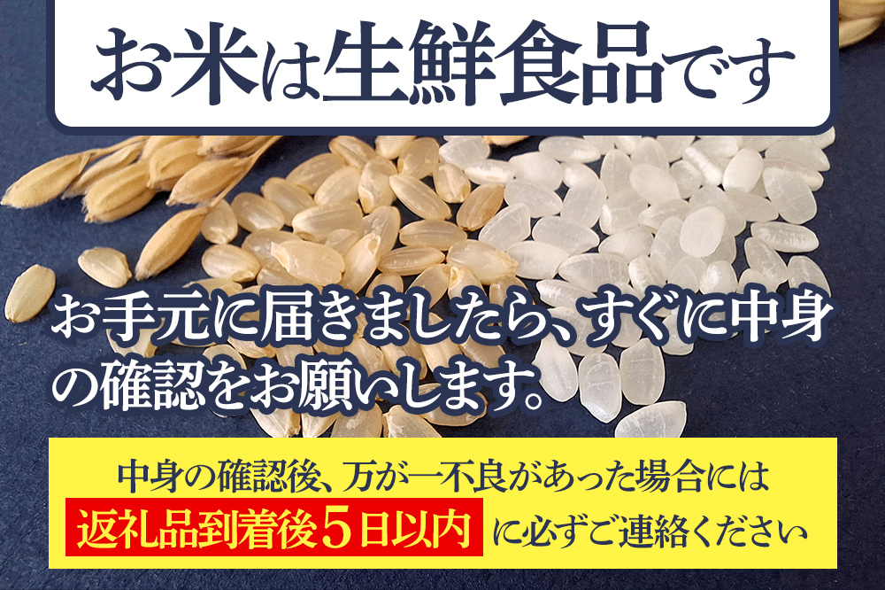 【無洗米】＜令和7年産 新米予約＞《定期便7ヶ月》秋田県産 あきたこまち 15kg (5kg×3袋) ×7回 15キロ お米  新米