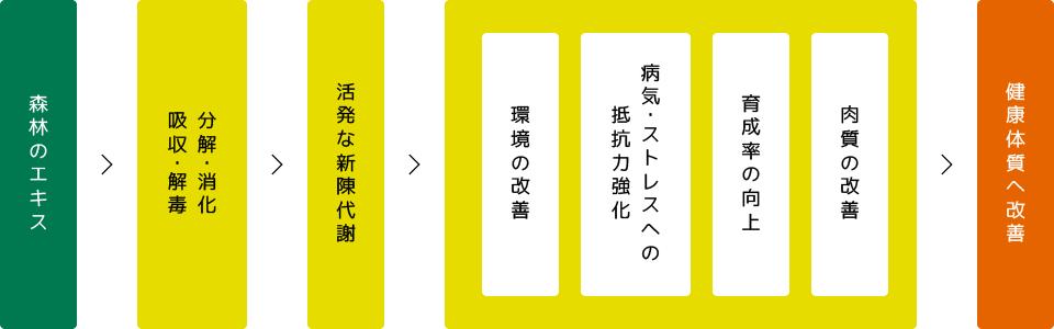 「樹皮炭」と「木酢液」を混ぜた、天然のエキス「森林のエキス」。餌にまぜることで、病気やストレスに強い健康的な鶏に成長します