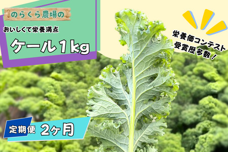 のらくら農場 ケール１kg　2か月定期便 [NK-T522]