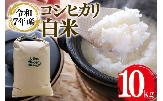 【令和7年産】 お米 ( コシヒカリ) 白米 10kg お米 白米 米 おこめ ブランド米 こしひかり 10キロ 国産 単一原料米 コメ こめ ご飯 銘柄米 茨城県産 茨城 産直 産地直送 農家直送 お取り寄せ ごはん 冷めても美味しい 甘み 家庭用 贈答用 茨城県 石岡市 (B01-004)