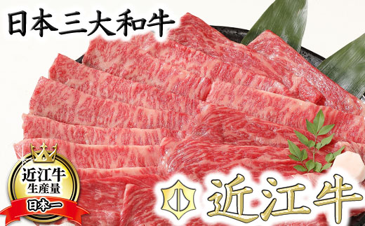 【4等級以上】厳選　近江牛　すき焼き・しゃぶしゃぶ【500g】【BS01U】