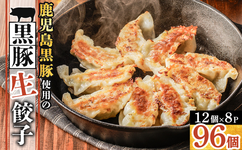 鹿児島黒豚使用の黒豚餃子 96個　K202-001