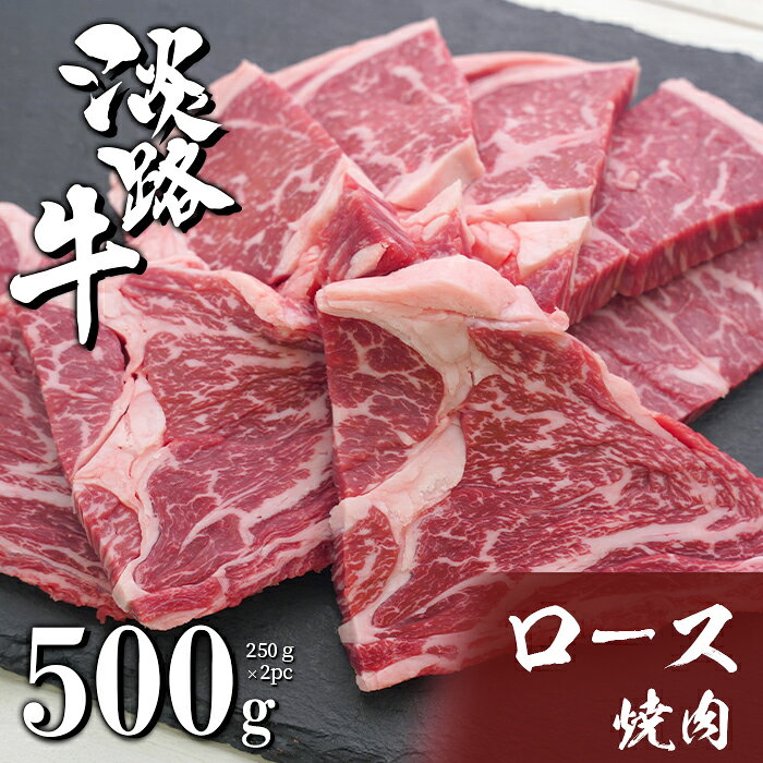 【ふるさと納税】淡路牛ロース焼肉 500g（250g×2PC）　国産牛 冷凍 焼肉用 牛肉 バーベキュー 霜降り