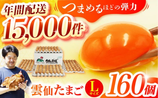 【常温配送】Lサイズ160個(150個＋割れ補償10個入り) 長崎県/塚ちゃん雲仙たまご村 [42ACAE006] 卵 玉子 タマゴ 鶏卵 長崎 島原 九州 大容量 たっぷり