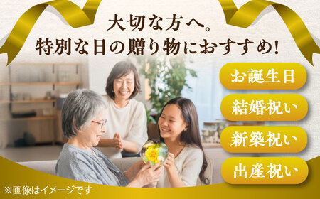 プリザーブドフラワー　ガラスドーム (黄色) / 花 プレゼント 贈答用 ガラス 母の日 父の日 入学式 卒業式 菊陽町 熊本県【株式会社 美向】[BHDC003]